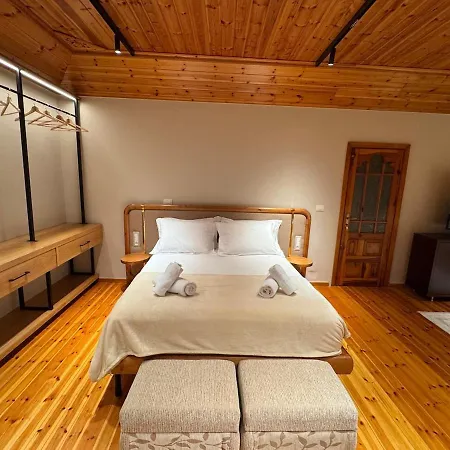 Apartment Cozy Loft With View From The Gjirokaster