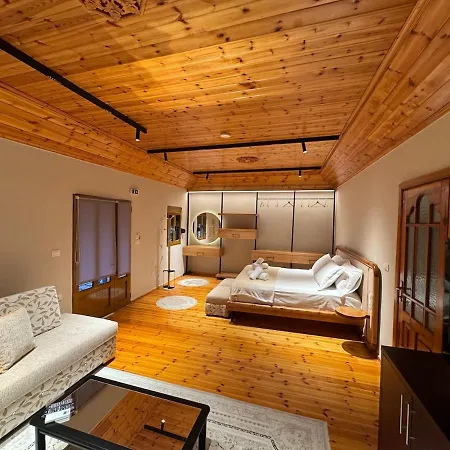 Cozy Loft With View From The